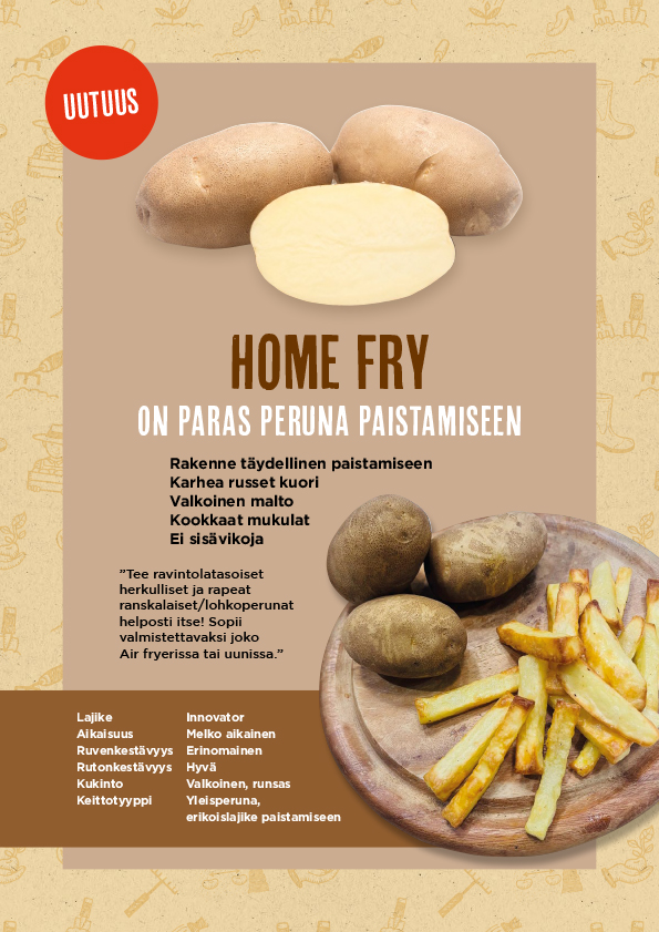 Home Fry A4 esite tulosta tästä pdf