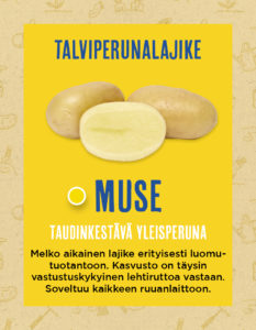 Muse hyllykuva