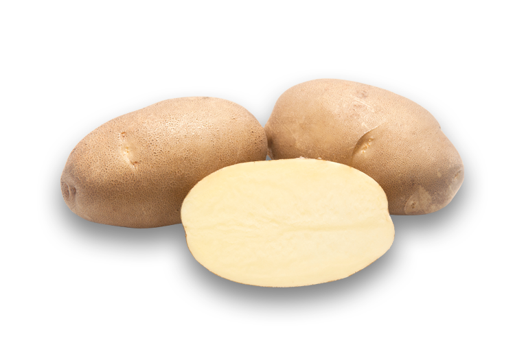 Home Fry Russet Innovator on paras peruna paistamiseen. Airfryer peruna. 